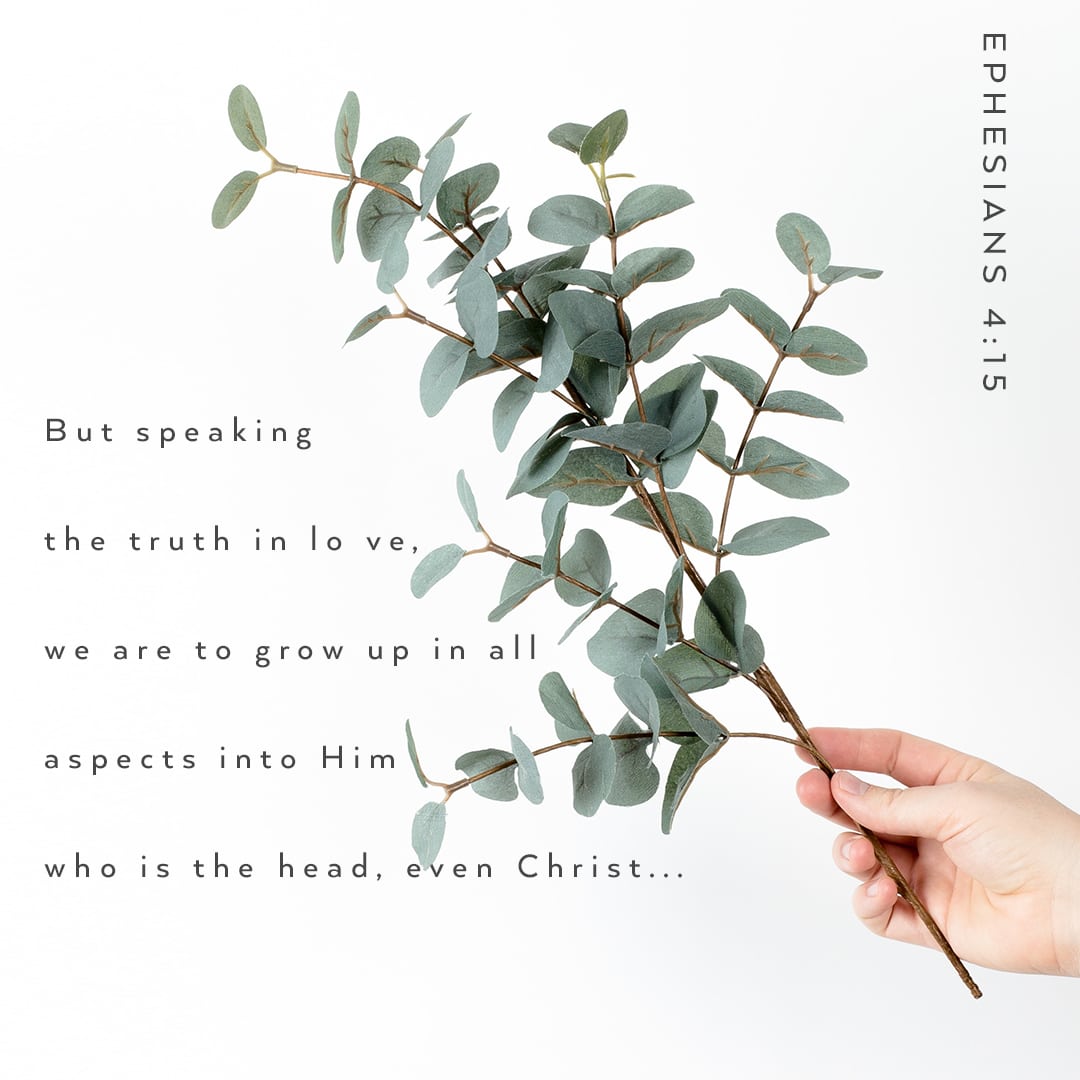 Speak the Truth in Love