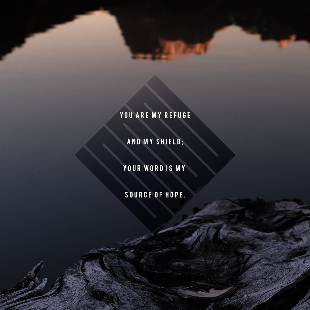 You are my refuge and my shield