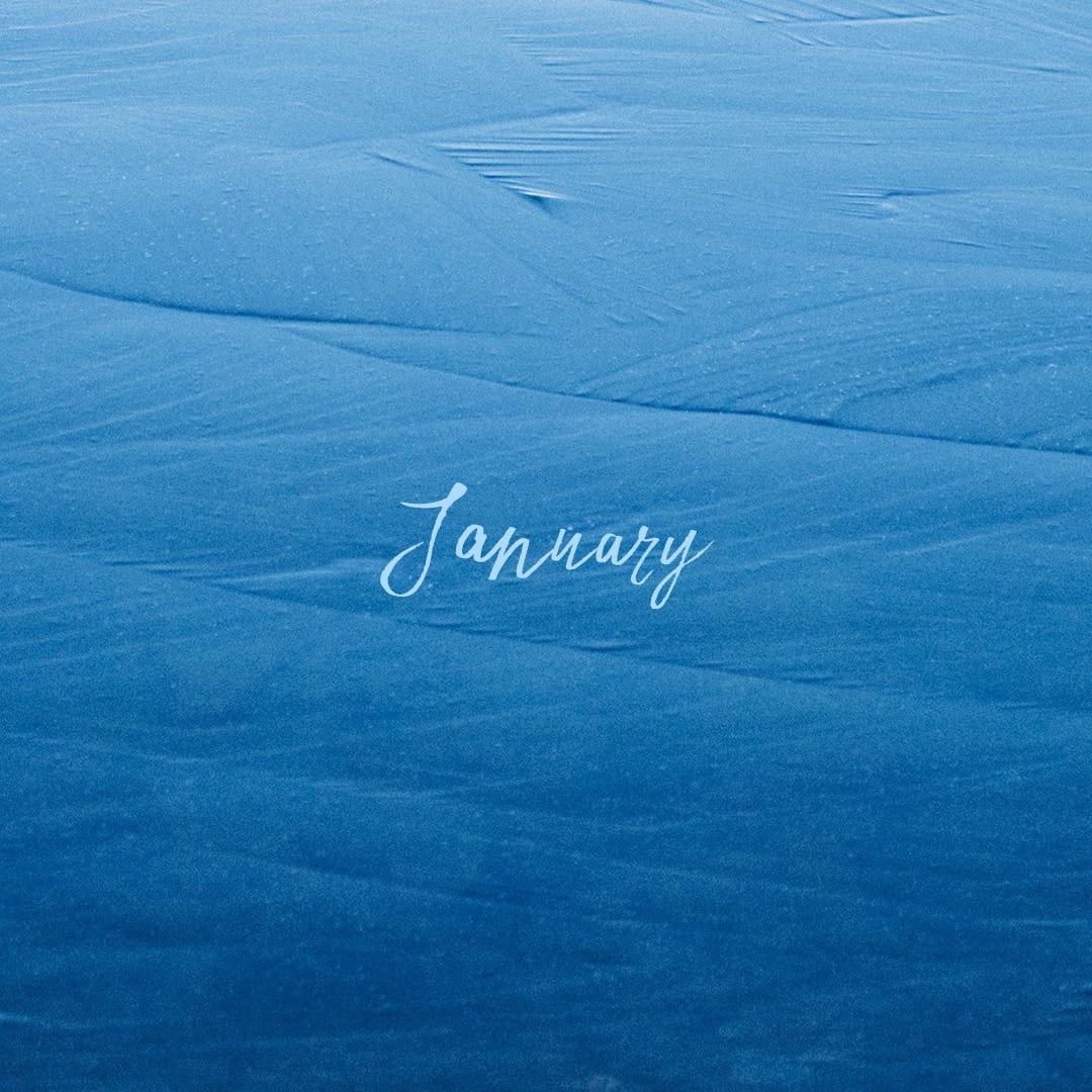 January Mega Bundle
