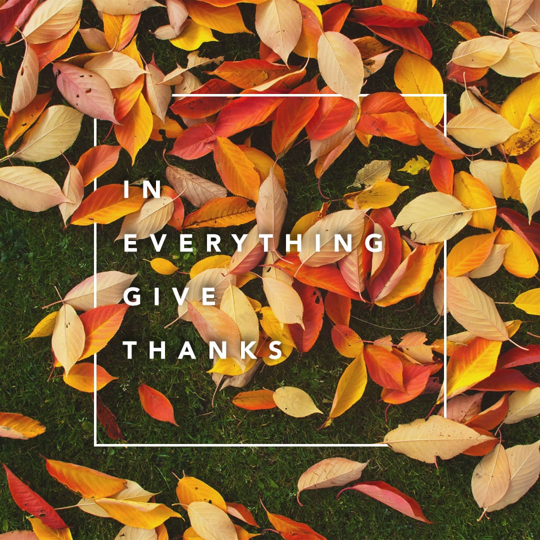 In Everything Give Thanks