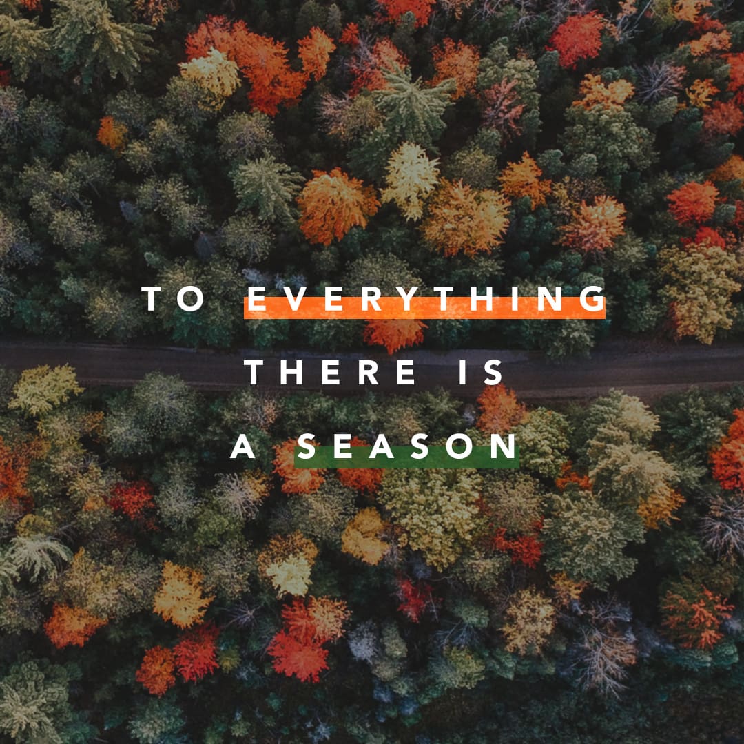 To Everything there is a Season