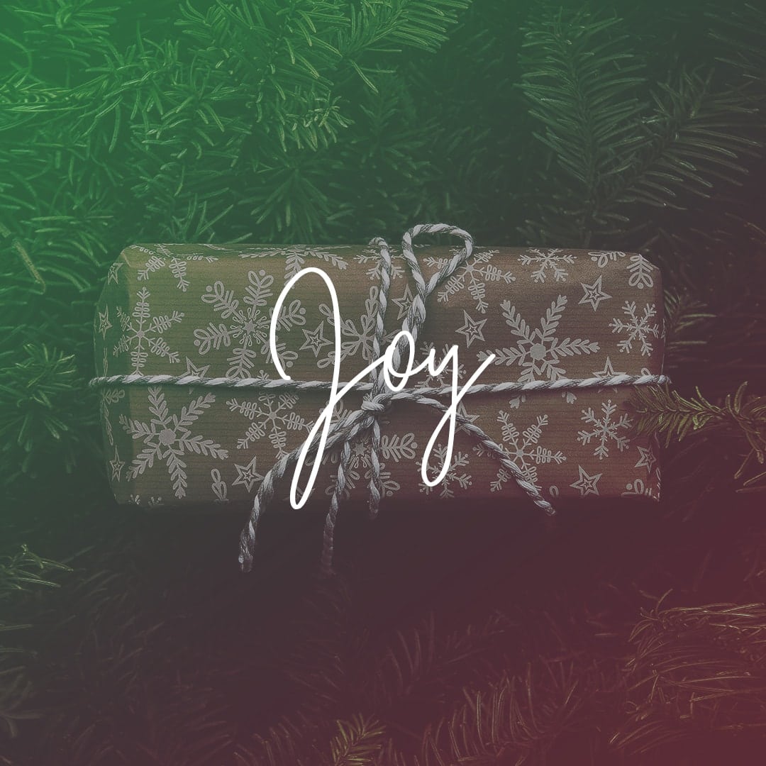 Joy