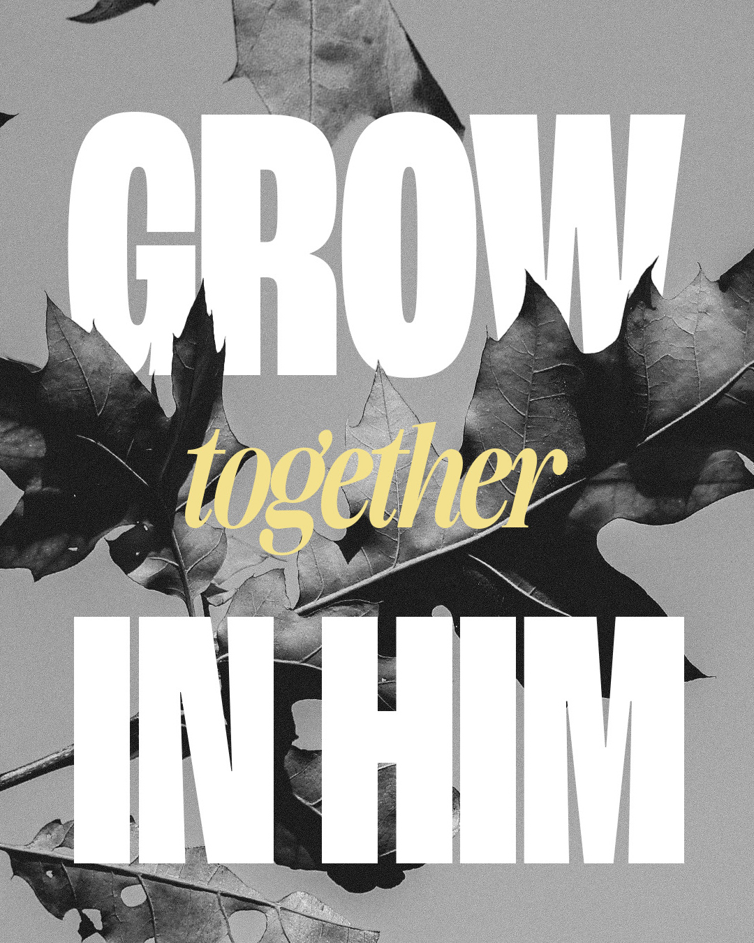 Grow together in Him