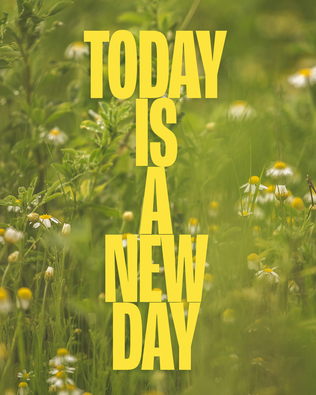 Today is a new day