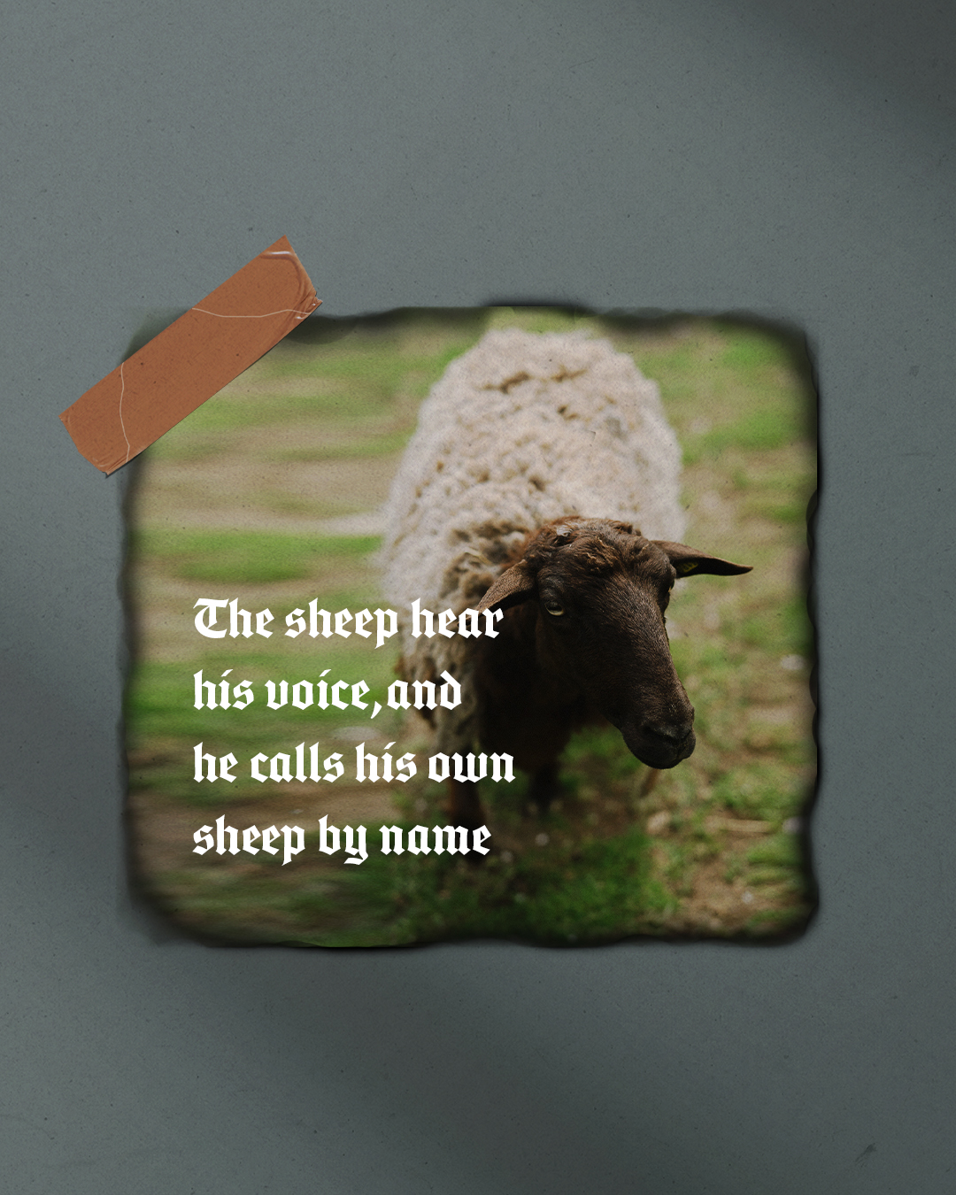 He calls his own sheep by name