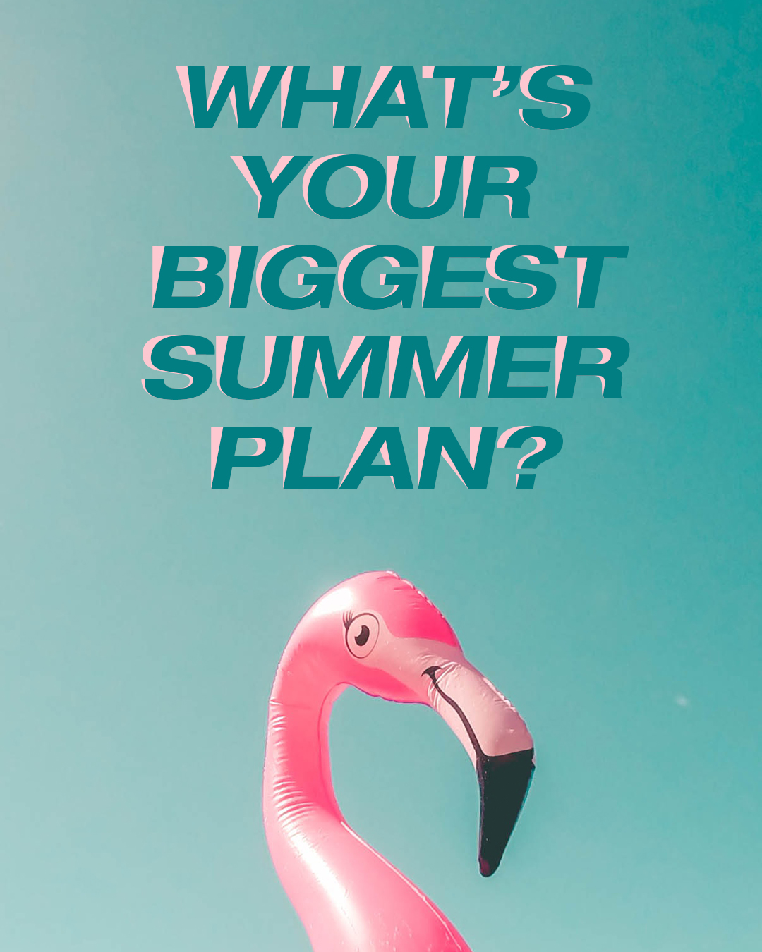 What’s your biggest summer plan?