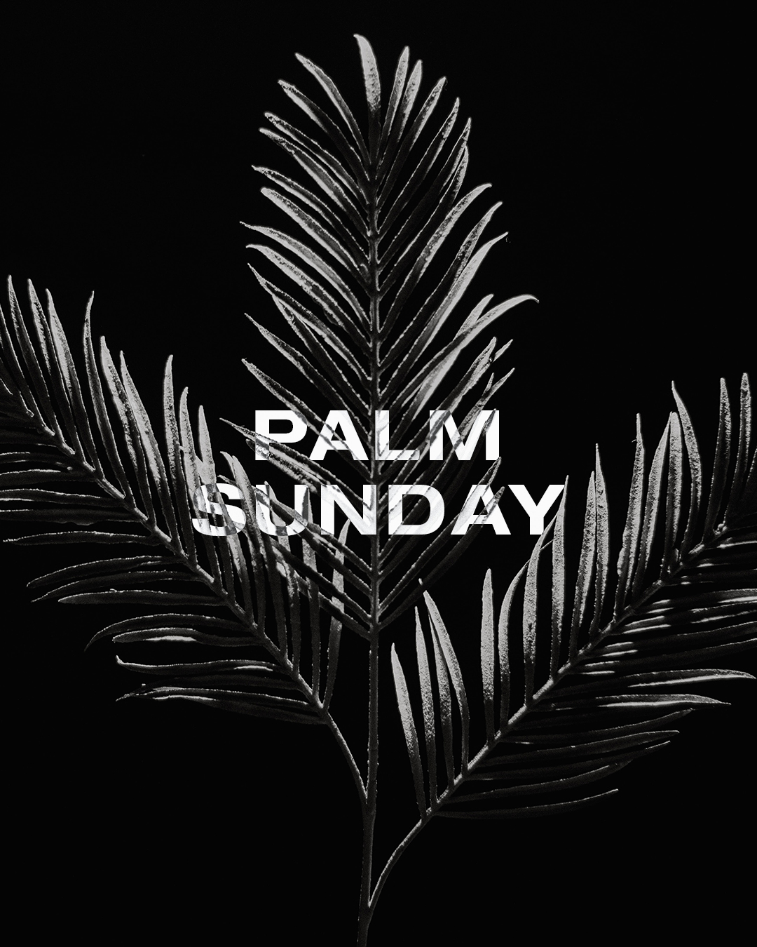 Palm Sunday