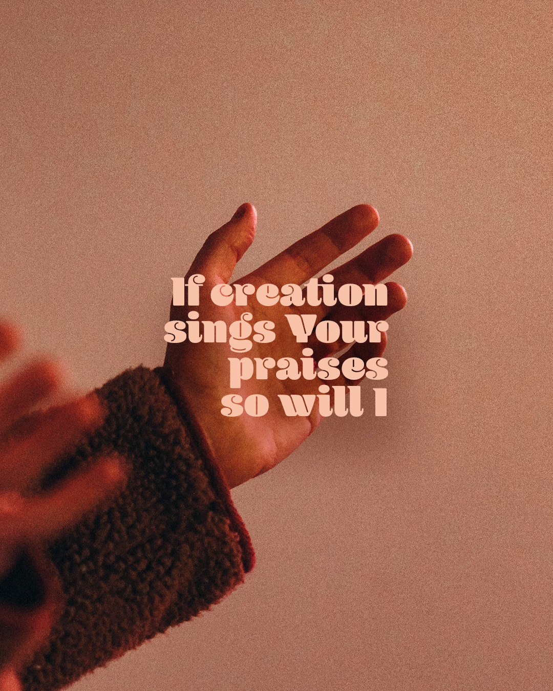 If Creation Sings Your Praises So Will I