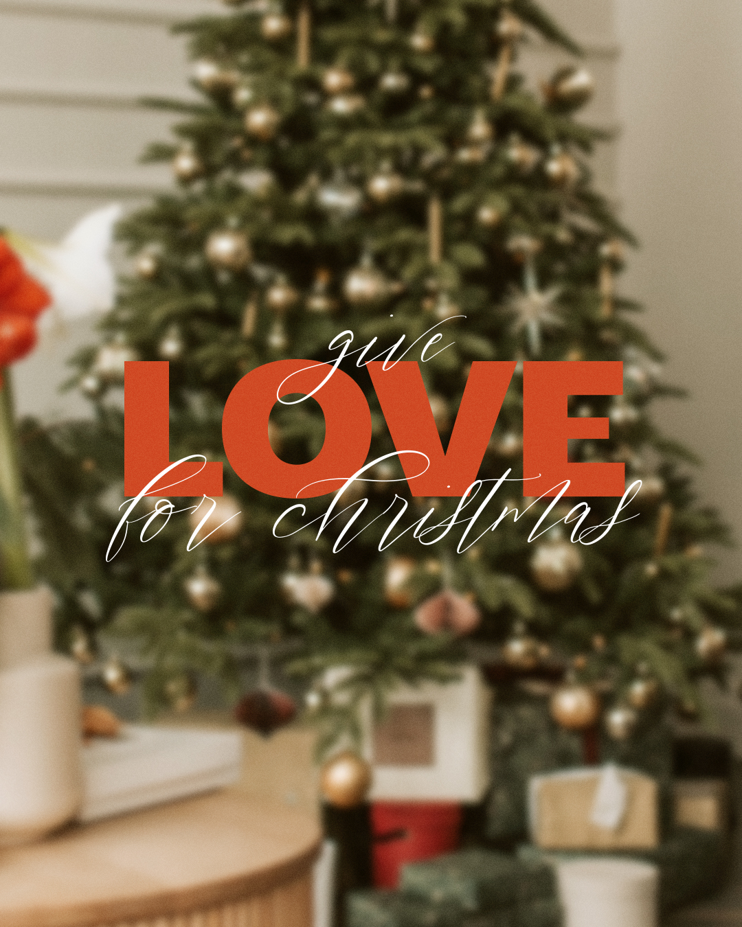 Give Love for Christmas