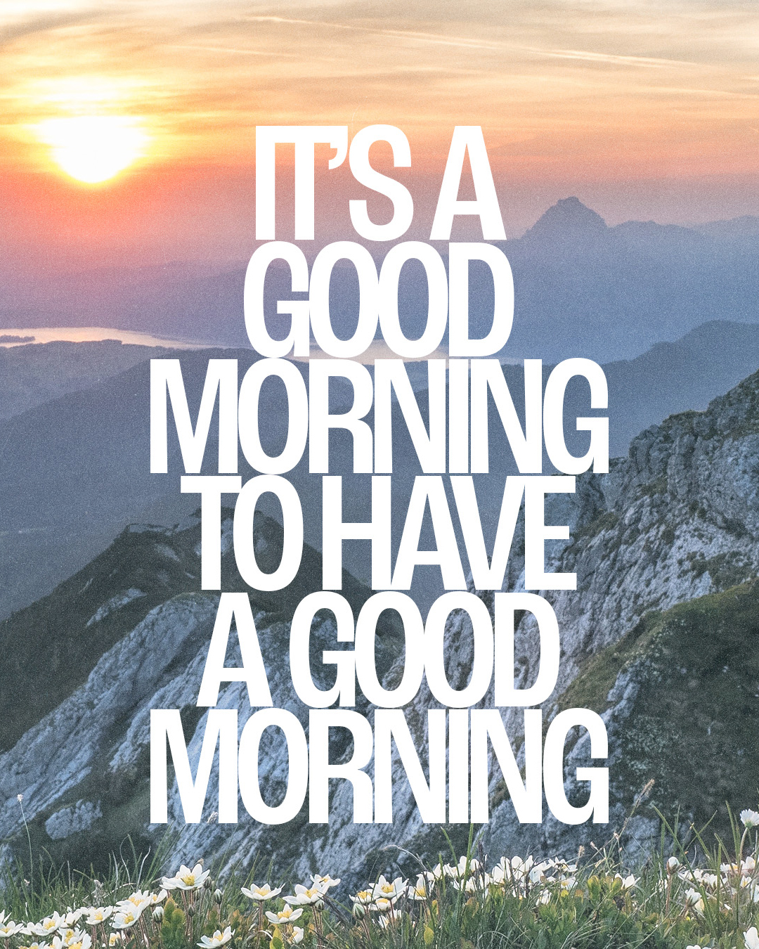 It’s a good morning to have a good morning