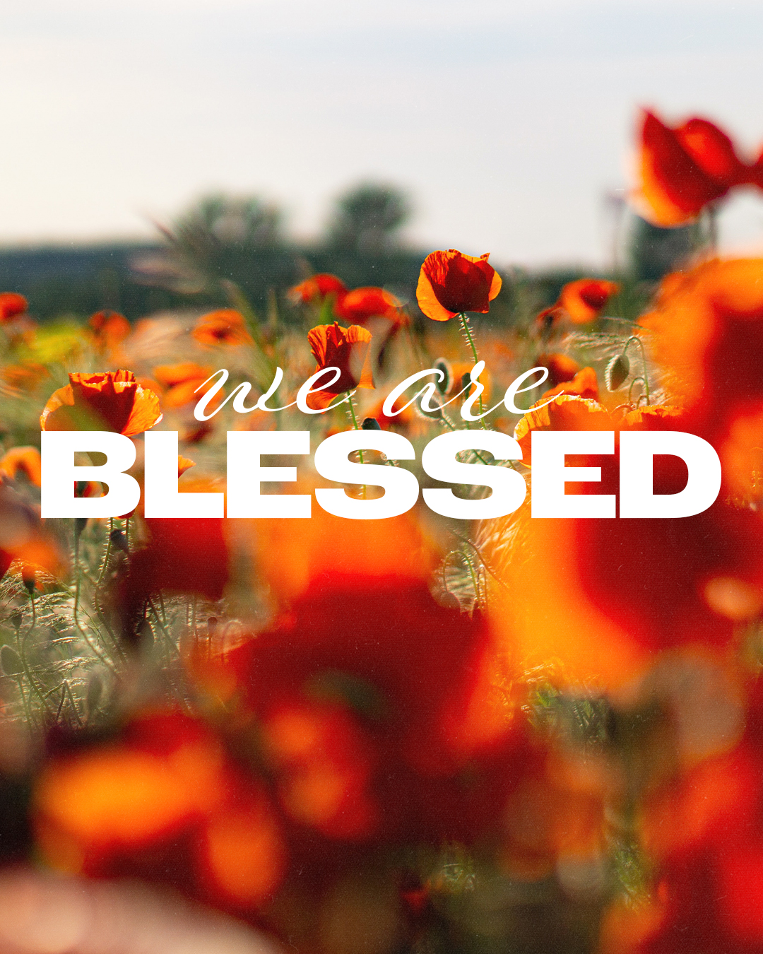 We are blessed