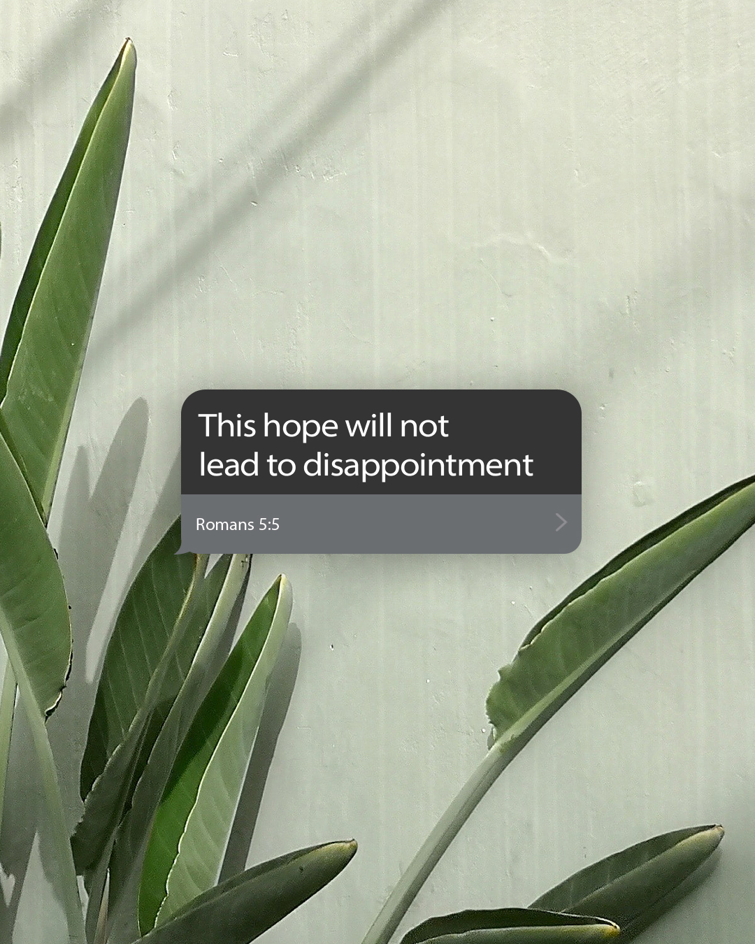 This hope will not lead to disappointment