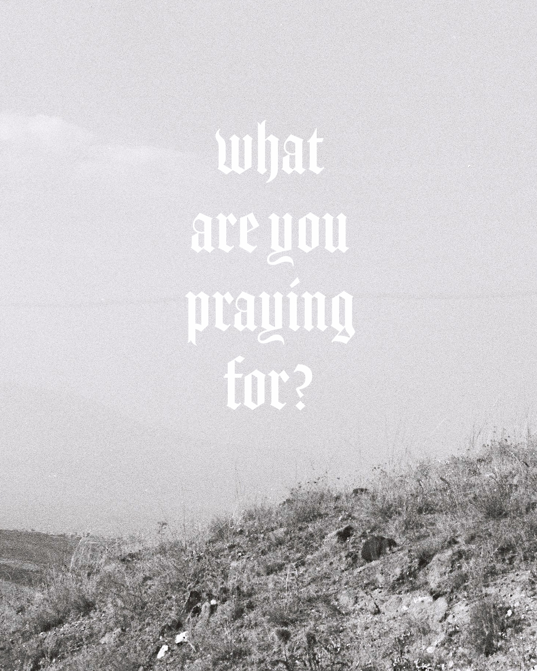 What are you praying for?