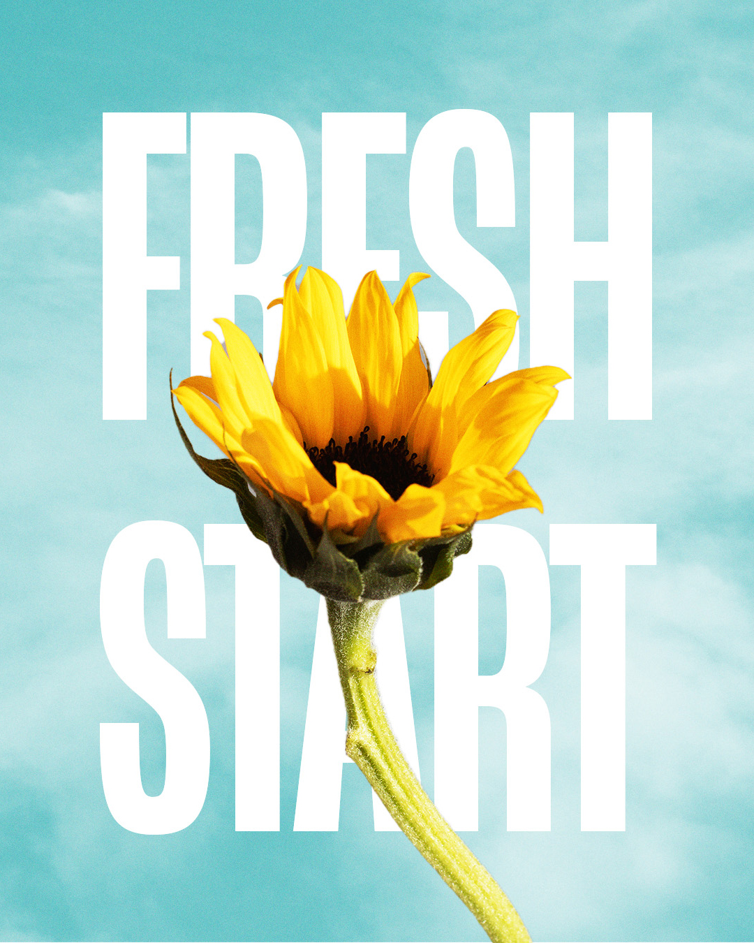 Fresh Start