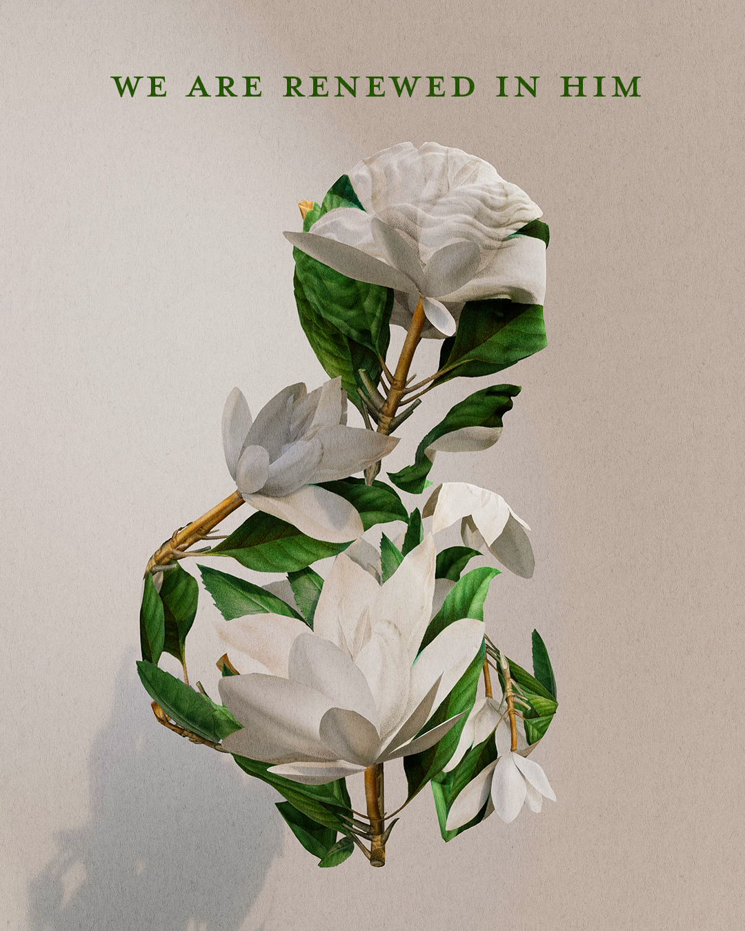 We are renewed in Him