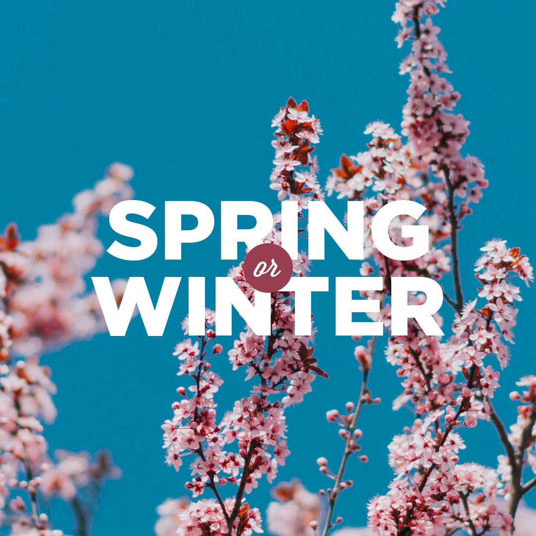 Spring or Winter