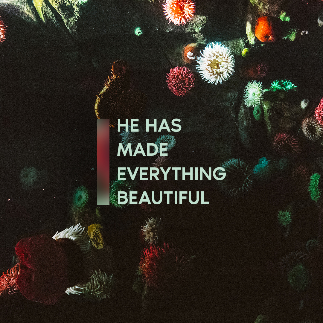 Everything Beautiful