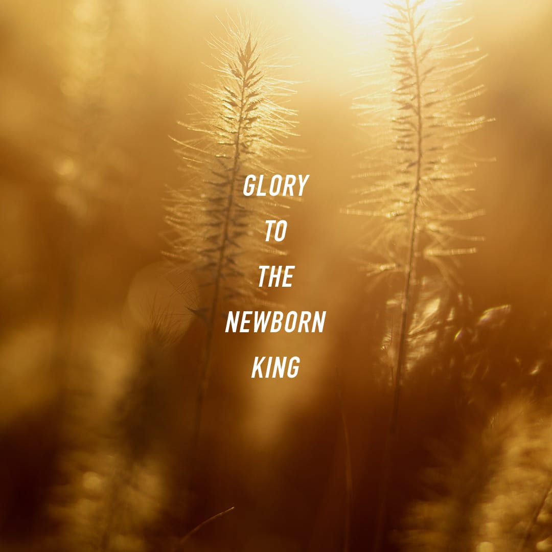 Glory to the Newborn King
