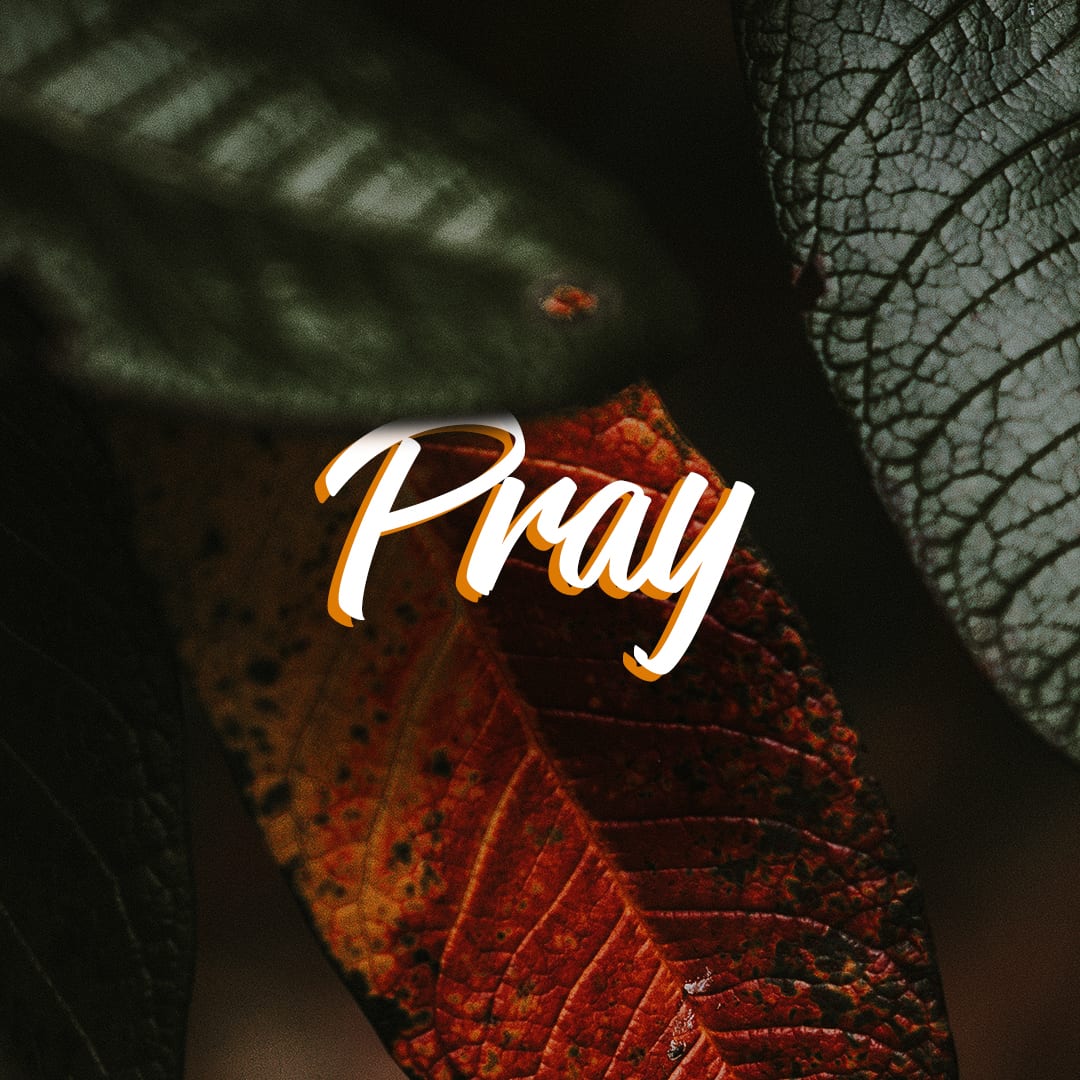 Pray