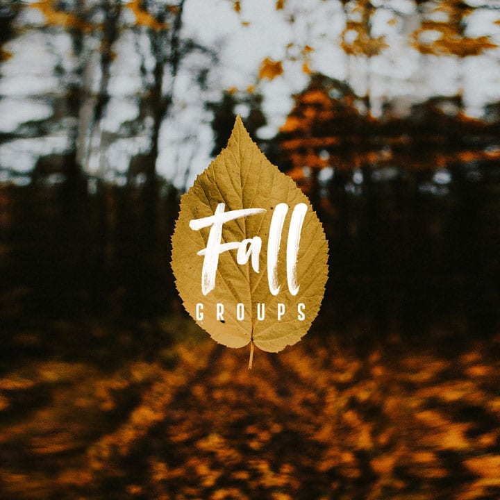 Fall Groups