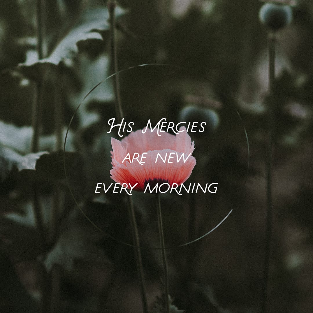 His Mercies Are New
