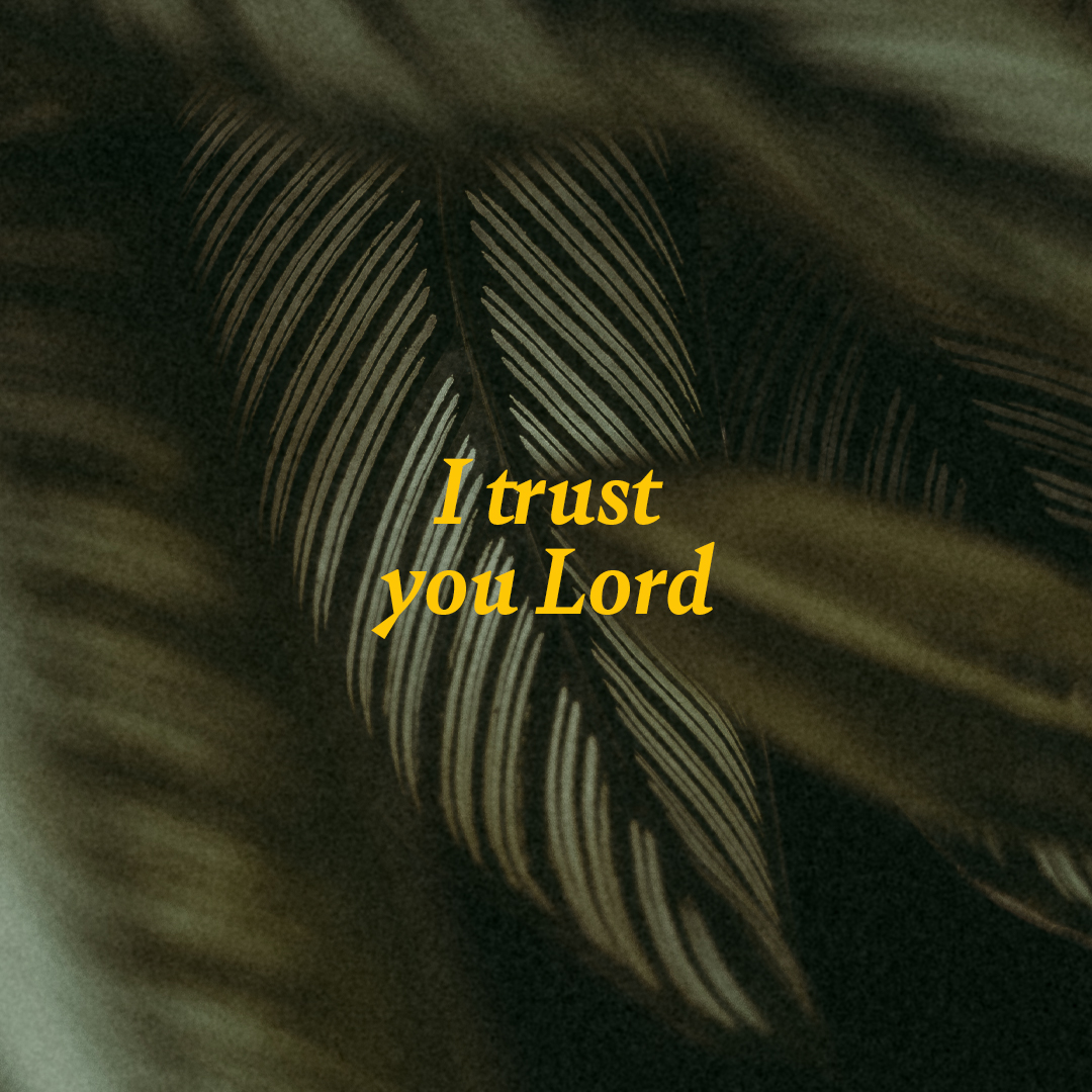 I Trust You Lord