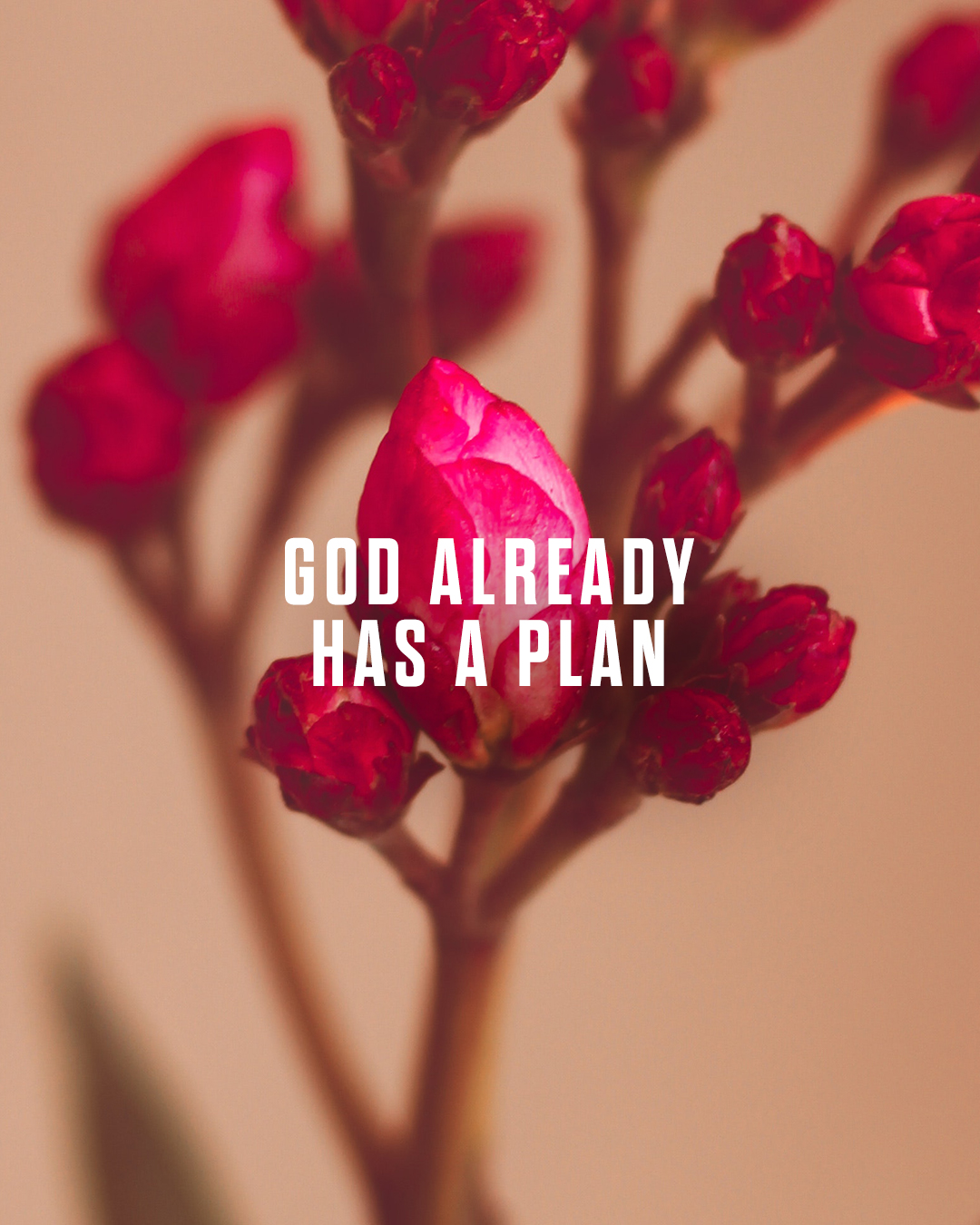 God has a plan